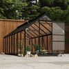vidaXL Serre en verre Anthracite 155x395,5x191 cm Aluminium