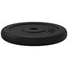 vidaXL Plaque de poids 20 kg Fonte
