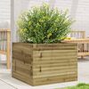 vidaXL Jardini&egrave;re 60x60x45,5 cm bois de pin impr&eacute;gn&eacute;