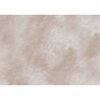 Kerbl Mur d'escalade pour chats Mount Everest Bois Beige