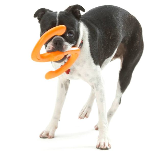 Zogoflex Jouet &agrave; m&acirc;cher pour chiens Bumi Taille L Orange 1947