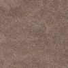 vidaXL Tapis de bain antid&eacute;rapant Marron 70 x 120 cm PP
