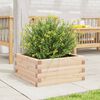vidaXL Jardini&egrave;re 50x50x23 cm bois de pin massif