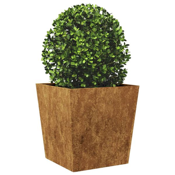 vidaXL Jardini&egrave;re 50x50x50 cm acier r&eacute;sistant aux intemp&eacute;ries