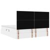 vidaXL Lit avec rangement et LED Blanc pur 200 x 200 cm Simili cuir
