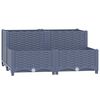 Blue_grey