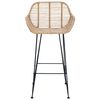 vidaXL Chaise de bar 2 pcs Naturel 55 x 52 x 92 cm Rotin et m&eacute;tal