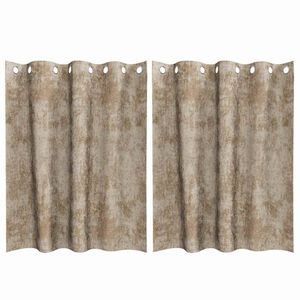 vidaXL Rideaux en velours 2 pc Champagne 140 x 140 cm Velours
