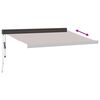 vidaXL Auvent r&eacute;tractable automatique marron 300x250 cm