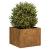 vidaXL Jardini&egrave;re rouill&eacute; 40x40x30 cm acier inoxydable