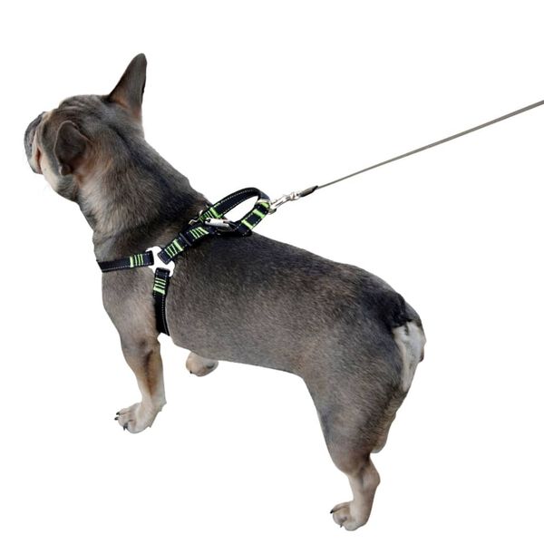 Kerbl Harnais de s&eacute;curit&eacute; d&rsquo;auto &agrave; animaux de compagnie 50-65 cm Noir