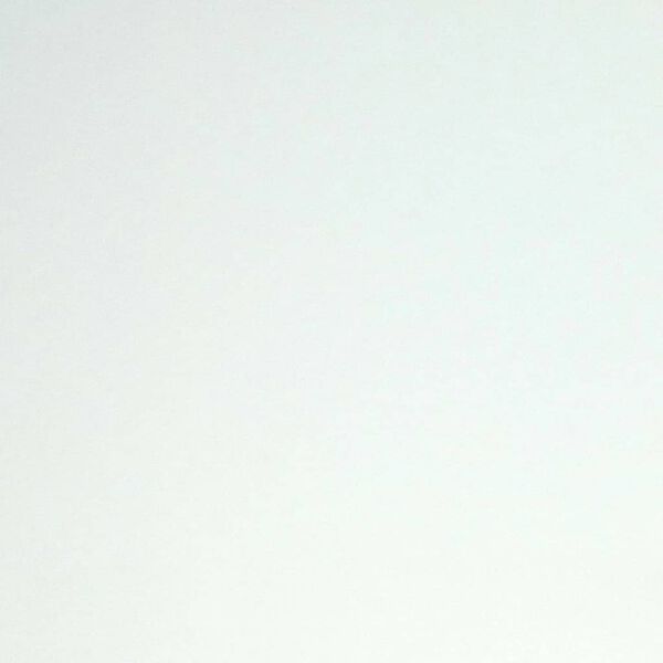 DUTCH WALLCOVERINGS Toison de r&eacute;novation de papier peint Blanc