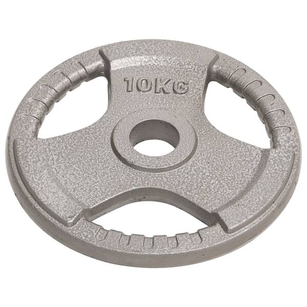 vidaXL Plaques de poids olympiques 2 pcs 20 kg Fonte