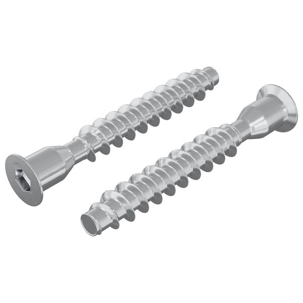 vidaXL Vis confirmat 2 pcs Argent&eacute; &Oslash;7 x 50 mm M&eacute;tал