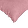 vidaXL Coussins de canap&eacute; 2 pcs Rose 60 x 40 cm