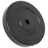 vidaXL Plaques de poids 6 pcs 30 kg B&eacute;ton