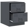 vidaXL Tables de chevet 2 pcs anthracite 34,5x39x44 cm acier