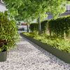 Olive_green