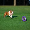 Ferplast Outil de fitness pour chiens Puller Maxi Violet