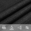 vidaXL Voile d'ombrage 160 g/m&sup2; Noir 6x6 m PEHD