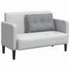 vidaXL Coussin de Dos Gris clair 80 x 19 x 50 cm tissu