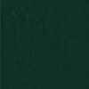 vidaXL Fleece de protection des plantes contre le gel Vert 20 x 3,2 m