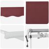 vidaXL Auvent r&eacute;tractable automatique bordeaux 600x300 cm