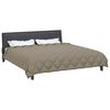 vidaXL Duvet d'hiver Gris clair 240 x 200 cm Microfibre