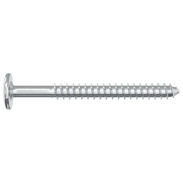 vidaXL Vis en bois 12 pcs Argent&eacute; M6 x 70 mm Acier