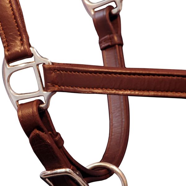 Licol Licou en cuir r&eacute;glable pour &eacute;curie Cheval Marron