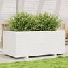 vidaXL Jardini&egrave;re blanc 110x60x49,5 cm bois de pin massif