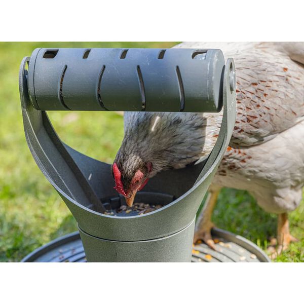 Beeztees Tour de jeu et &agrave; nourriture pour poulets 30x30x30 cm Gris