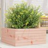 vidaXL Jardini&egrave;re 50x50x23 cm bois massif douglas