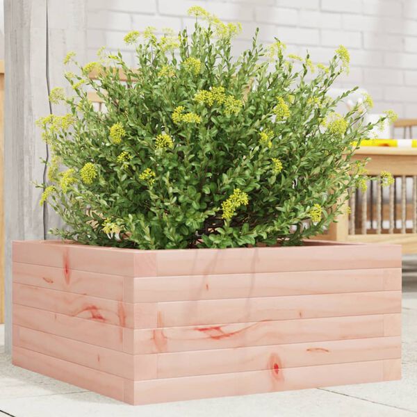 vidaXL Jardini&egrave;re 50x50x23 cm bois massif douglas