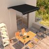 vidaXL Auvent manuel r&eacute;tractable 300x250 cm Anthracite