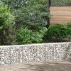 vidaXL Lits sur&eacute;lev&eacute;s en gabion 3 pcs 30x30x50 cm Fer