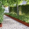 vidaXL Bordures de pelouse 10 pcs Rouill&eacute; 103 x 0,05 x 22 cm