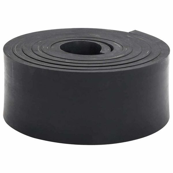 vidaXL Bordure en caoutchouc de chasse-neige noir 250x10x1 cm