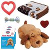 Snuggle Puppy Kit de d&eacute;but de soin des chiots