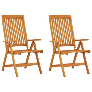 vidaXL Chaises pliantes 2 pi&egrave;ces en bois massif d'eucalyptus