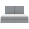vidaXL Lit avec rangement et LED Gris clair 160 x 200 cm Polyester