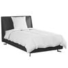 vidaXL Duvet d'&eacute;t&eacute; simple avec oreiller 2 pcs Blanc Plume de canard