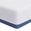 vidaXL Matelas Blanc et Bleu 80 x 200 cm Tissu jacquard