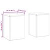 vidaXL Support de Plante 2 pcs Rouill&eacute; 24 x 24 x 35 cm Acier patin&eacute;