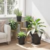 vidaXL Plateau &agrave; fleurs rond 6 pcs Noir &Oslash; 19 x 2 cm Plastique