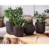 Capi Ensemble de jardini&egrave;re 4 pcs Groove Anthracite