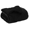 vidaXL Duvet d'hiver 200 x 240 cm Hiver Noir Respirant