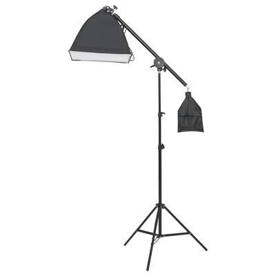 vidaXL Kit d'éclairage studio photo avec toiles de fond et réflecteur