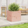 vidaXL Jardini&egrave;re 50x50x46 cm bois massif douglas