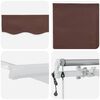 vidaXL Auvent r&eacute;tractable automatique marron 300x250 cm